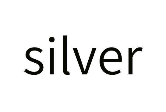 Silver 925-40cm