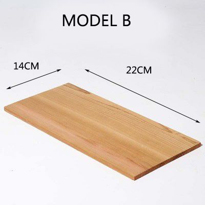 Model B