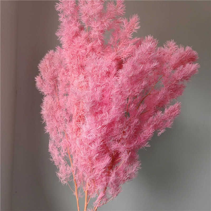 Bright Pink-80G