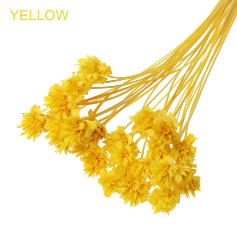 yellow-