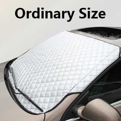 Ordinary Car