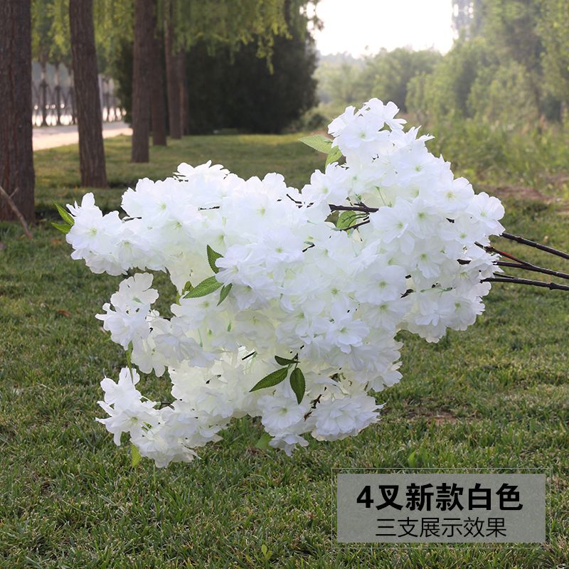 Beyaz kiraz çiçeği