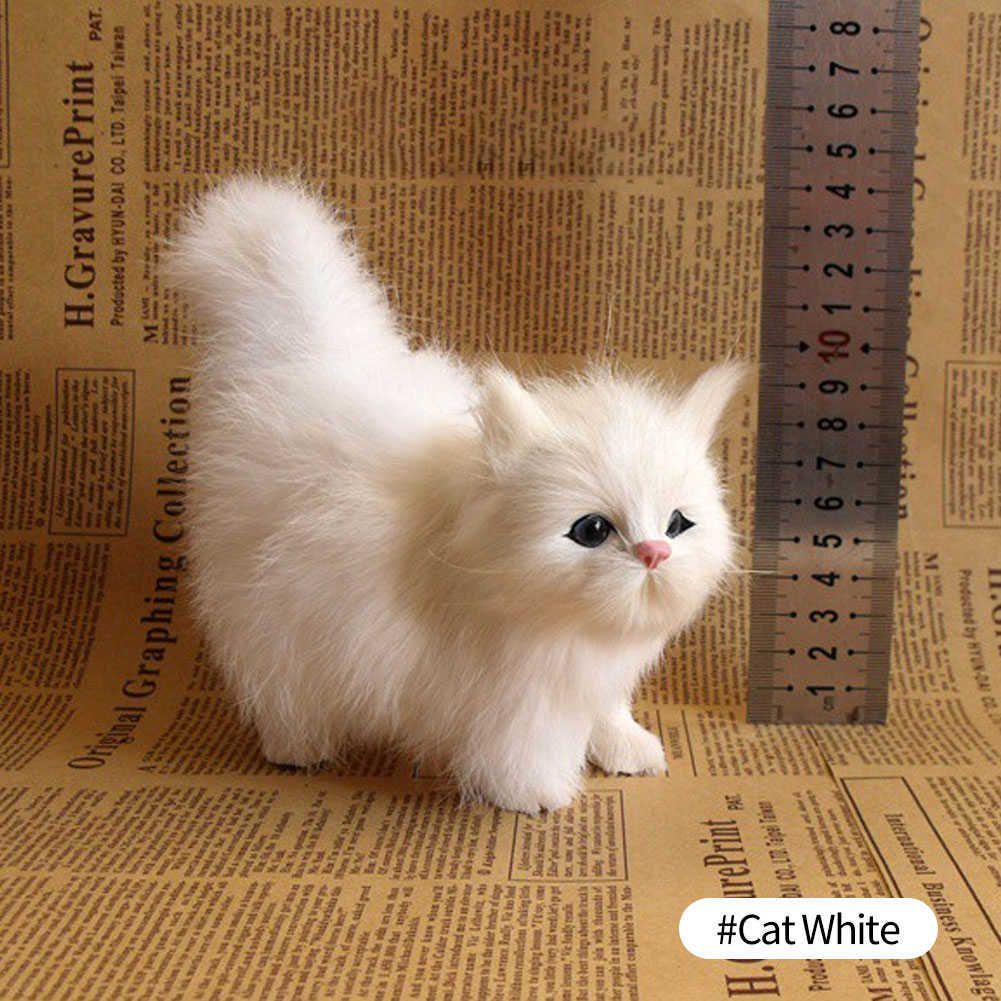 Cat White Hq