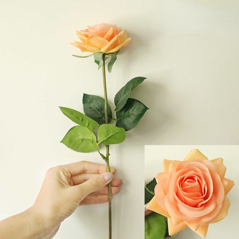 Light orange rose