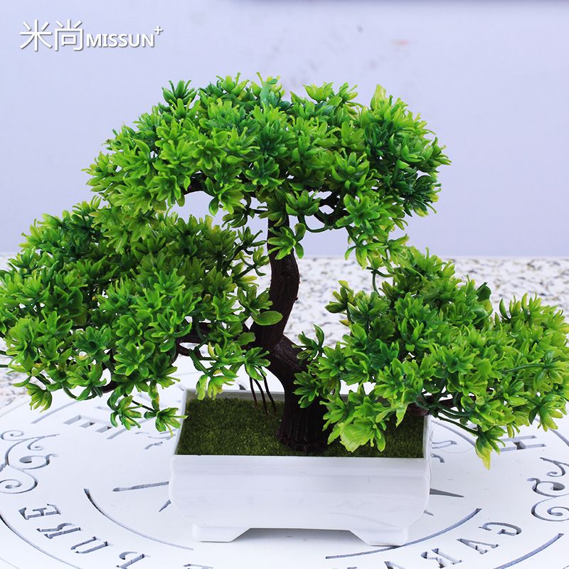 Zielony bonsai