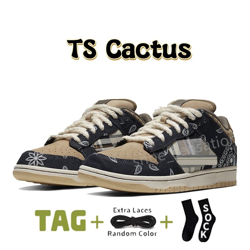 12 TS Cactus