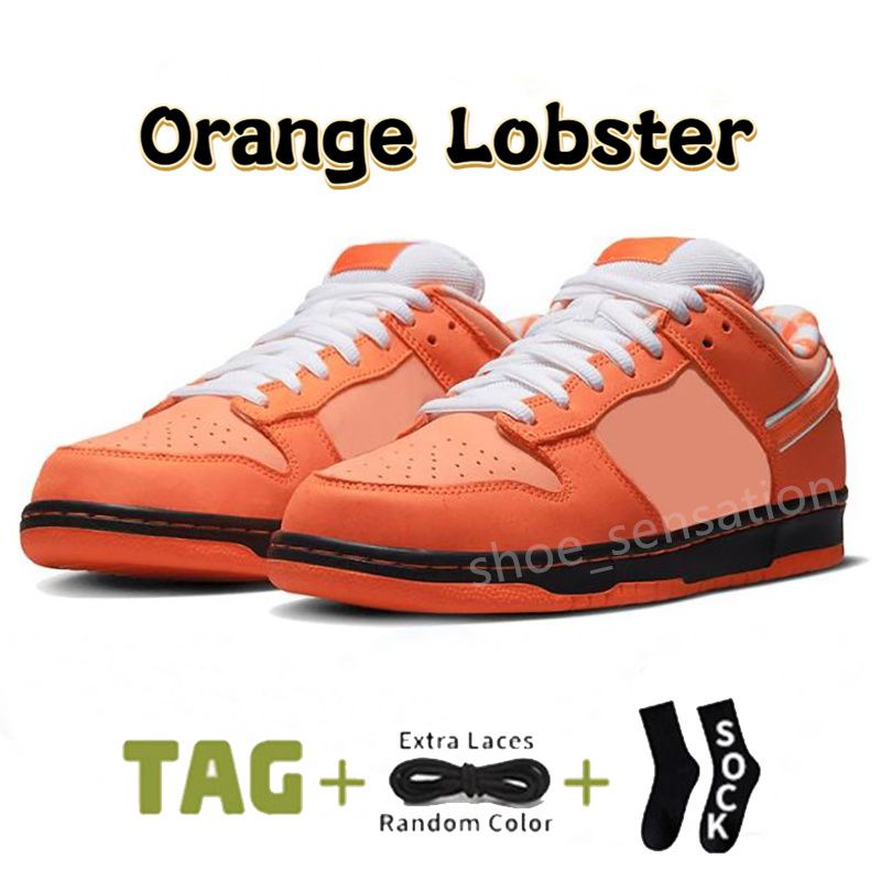 13 Orange Lobster