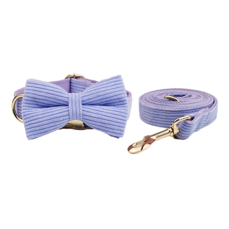 Bow Collar Guinzaglio Set