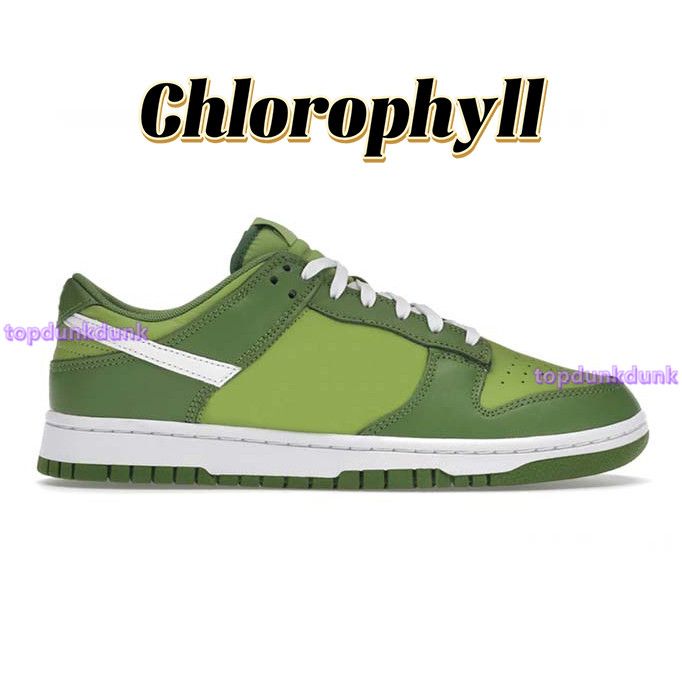 39 Chlorophyll