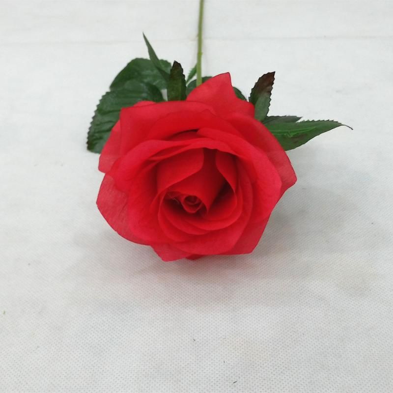 Rote Rosenblume