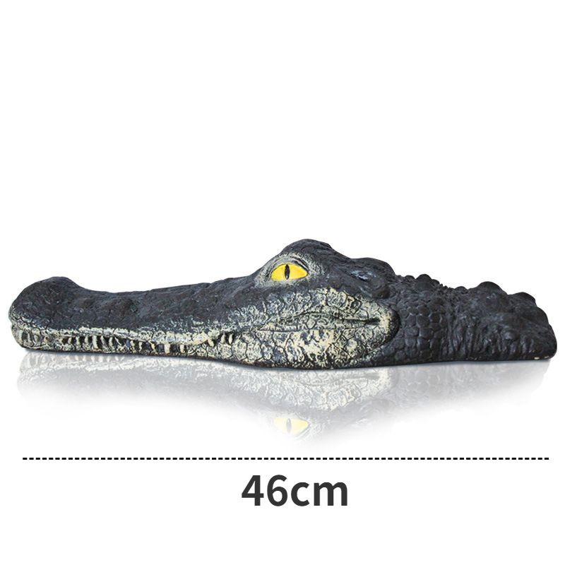 Tête de crocodile b