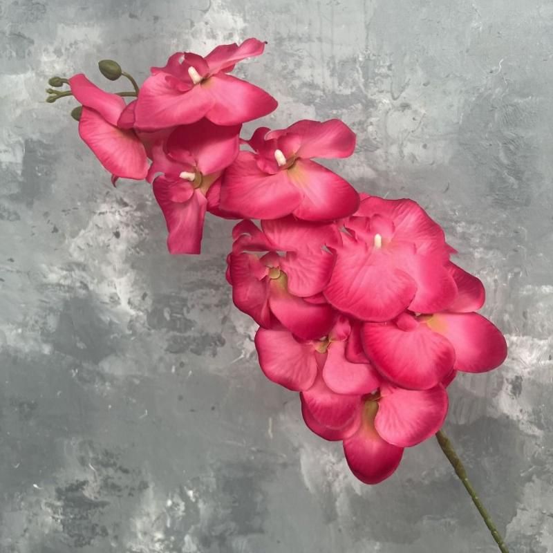 110cm-Rose Red