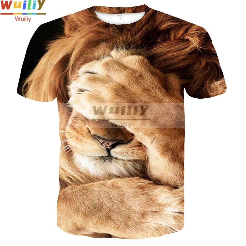 funny lions