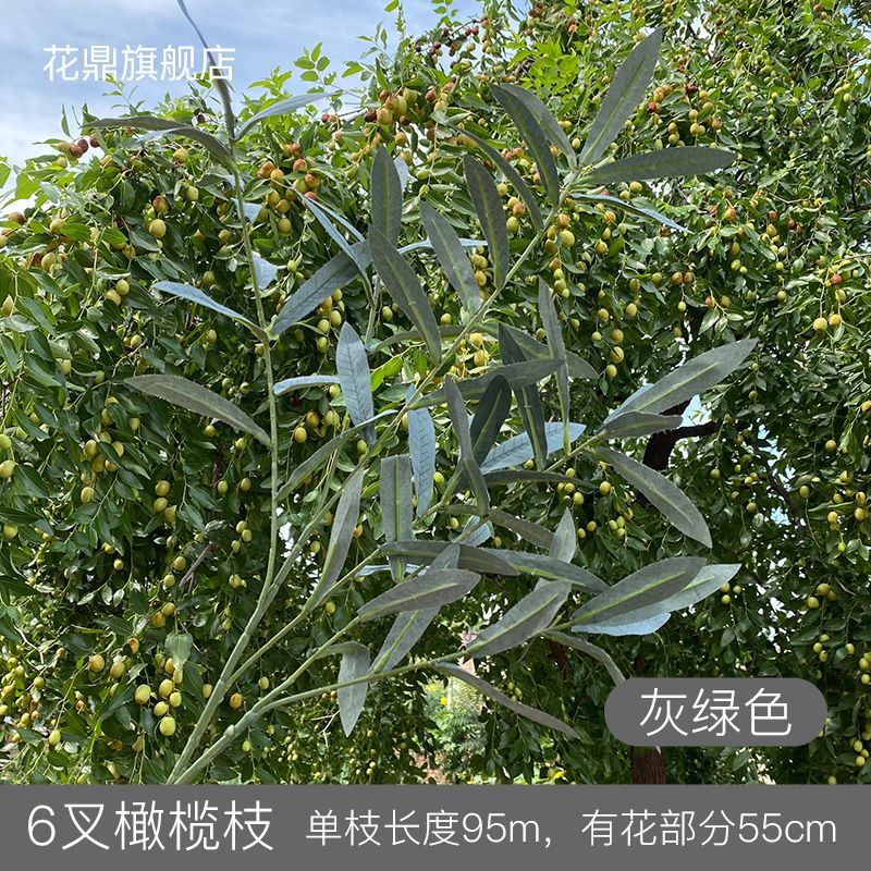 6Fork Olive Zhi Gray