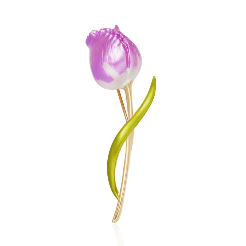 tulp