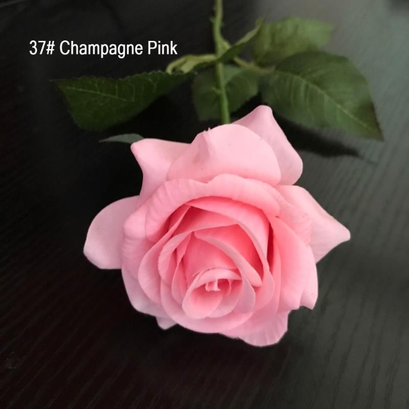 Champagner-Rosa