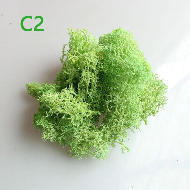 C2