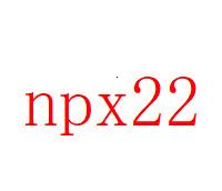 NPX 22