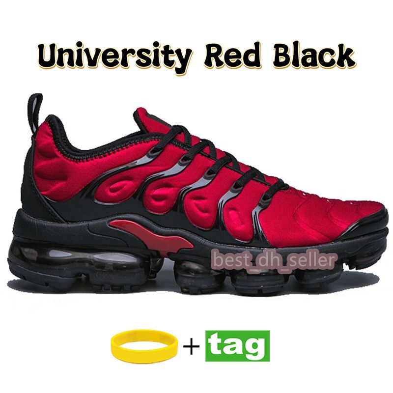 18 Университет красный черный