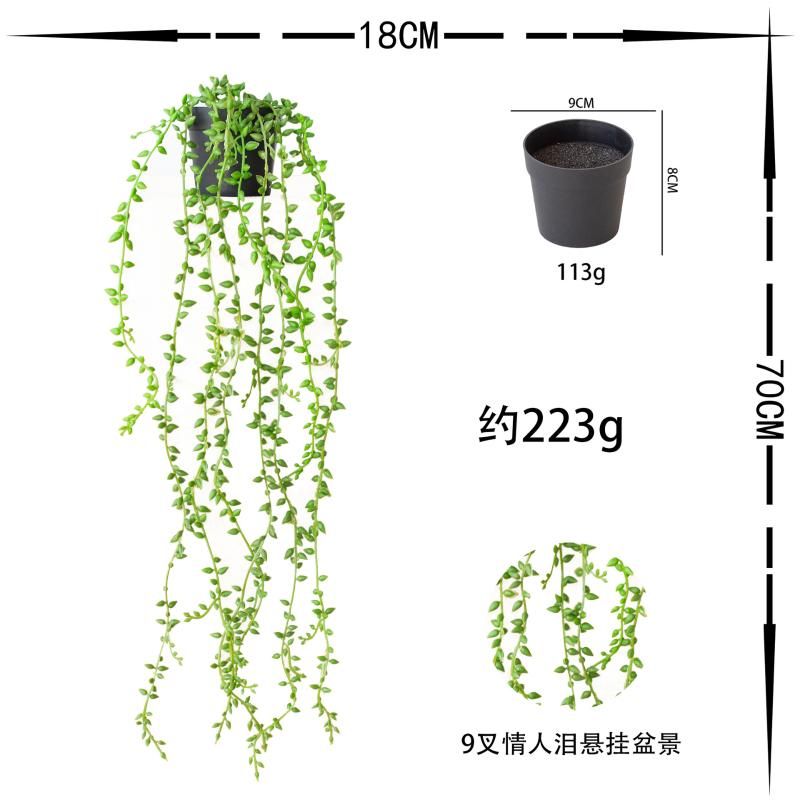 9cha qingrenlei