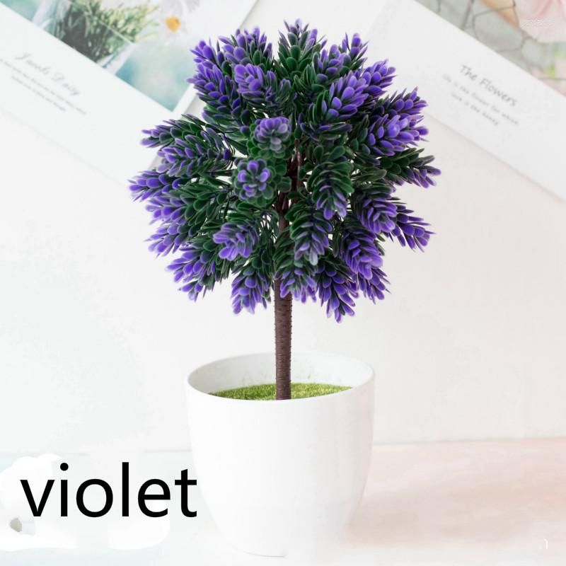 yuansongbai violet r