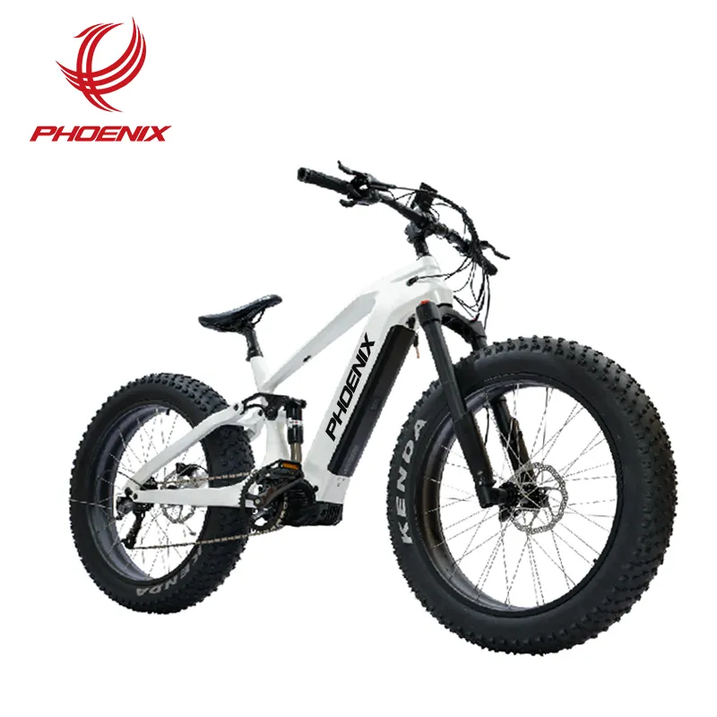 bicicleta electrica downhill