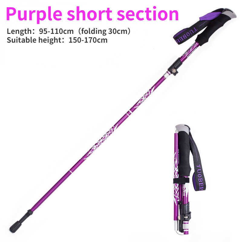 Purple Short Section