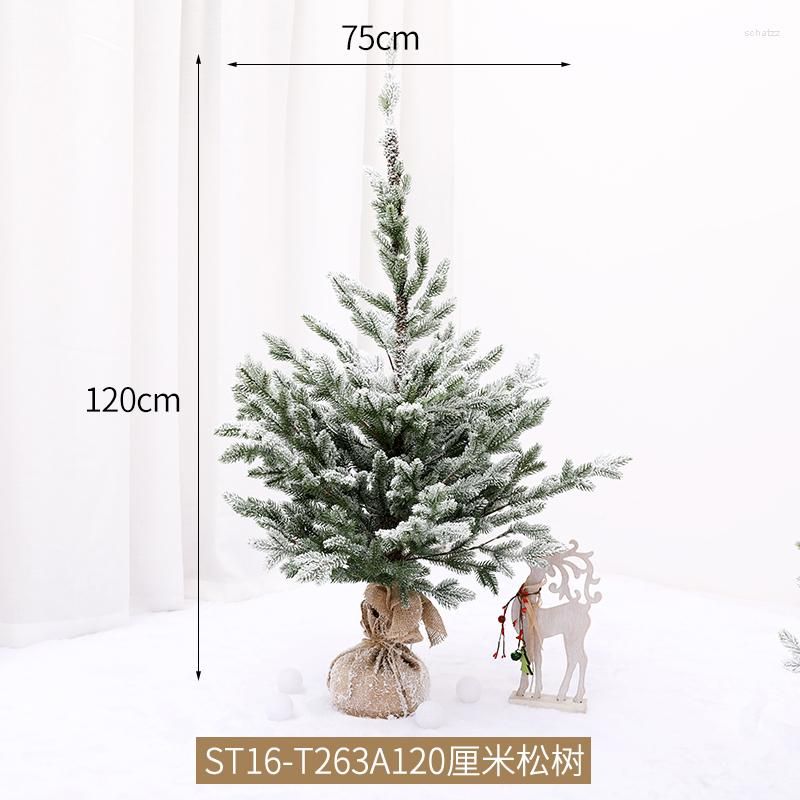 120cm pine