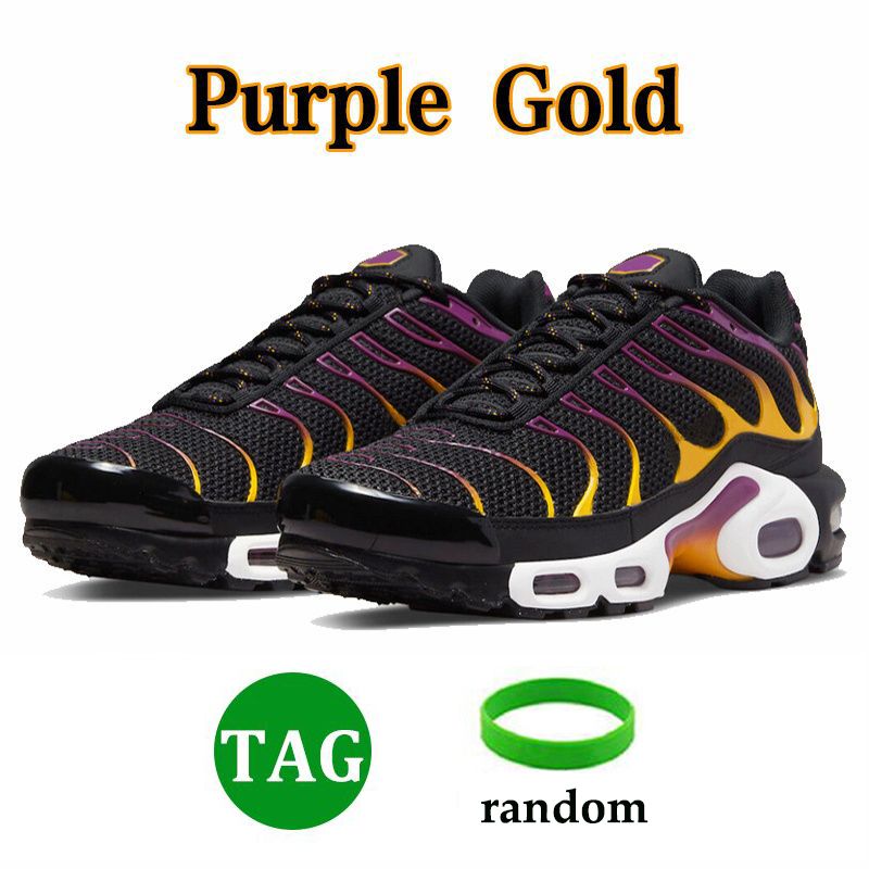 SKU_17 40-46 Purple Gold