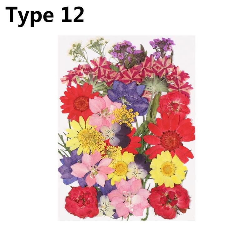 Type 12