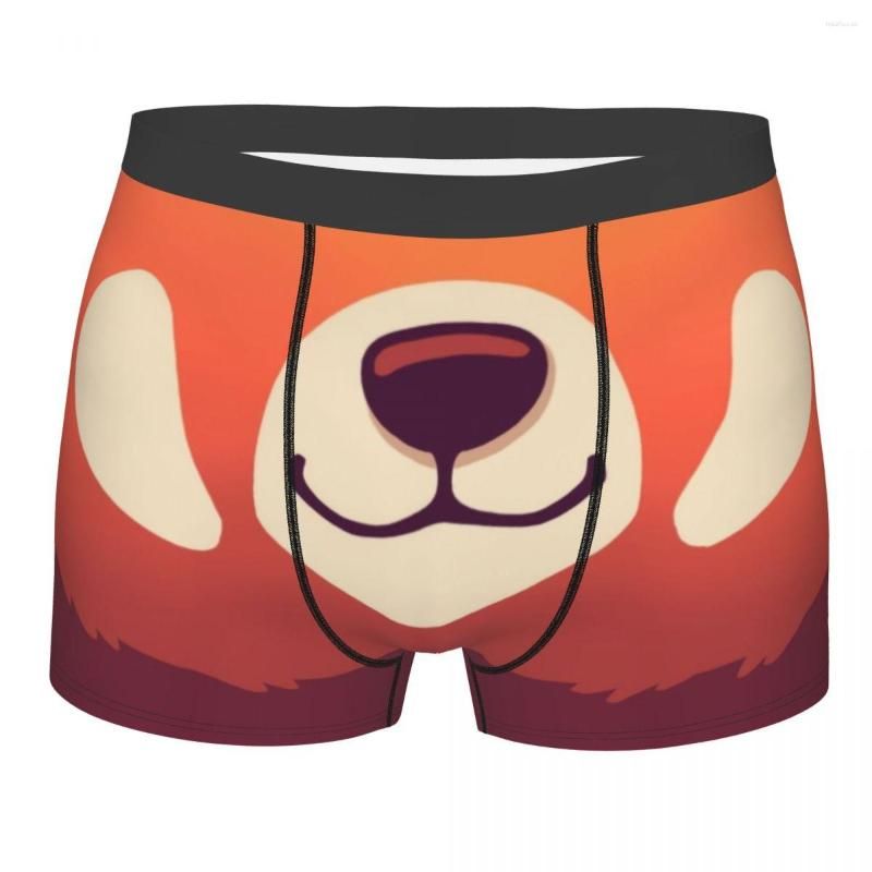 Calzoncillos boxer