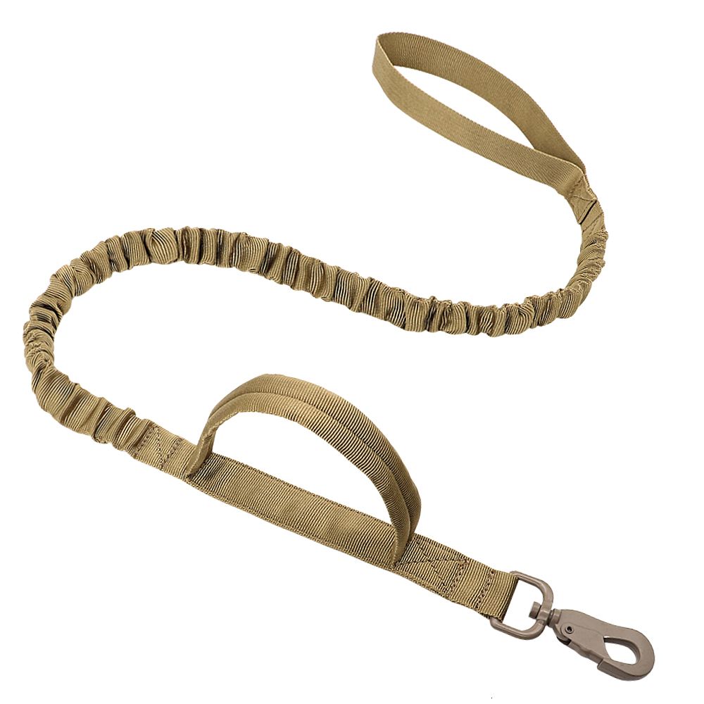 Khaki Leash