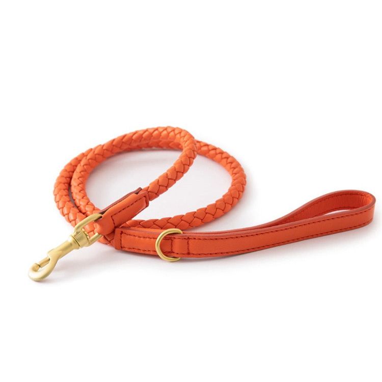 Orange(120cm leash)