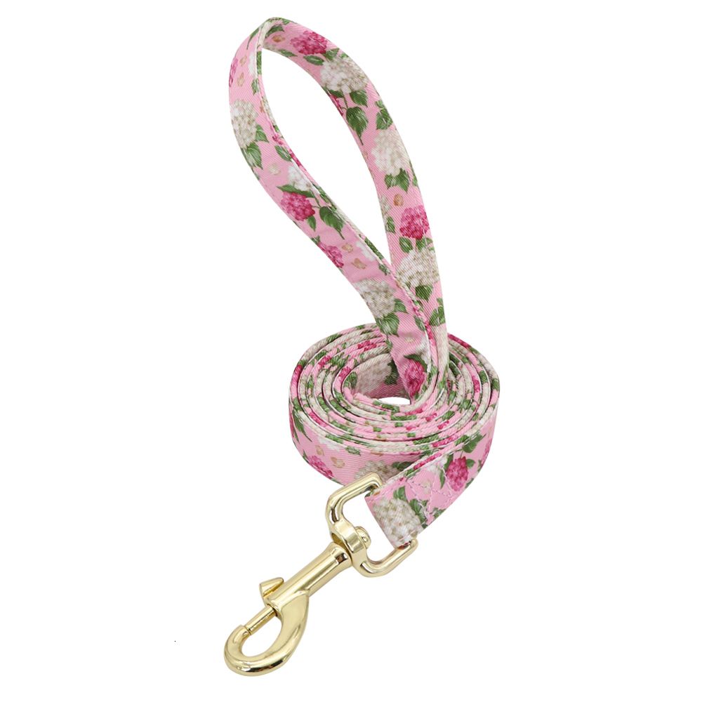 Leash Rose