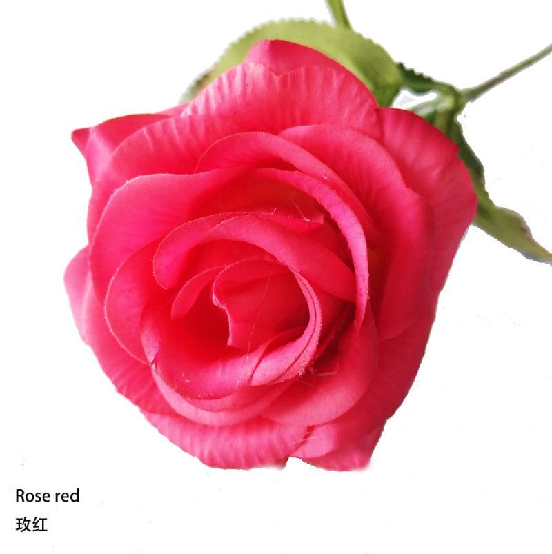 rose rouge