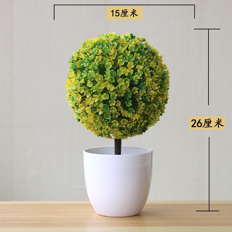 Yellow Ball Bonsai