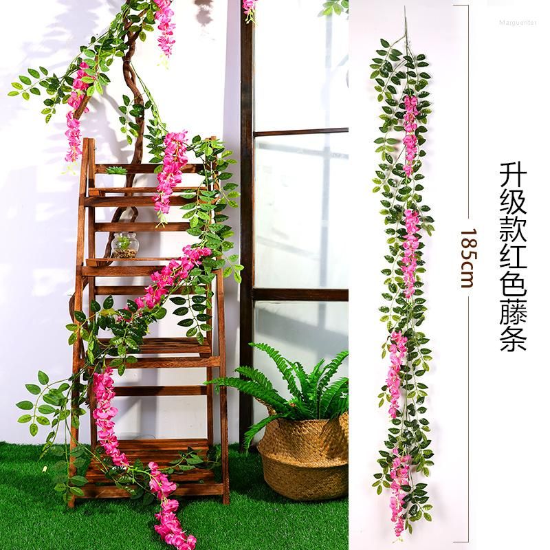 1.85m wisteria 3