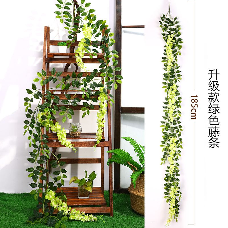 1.85m wisteria