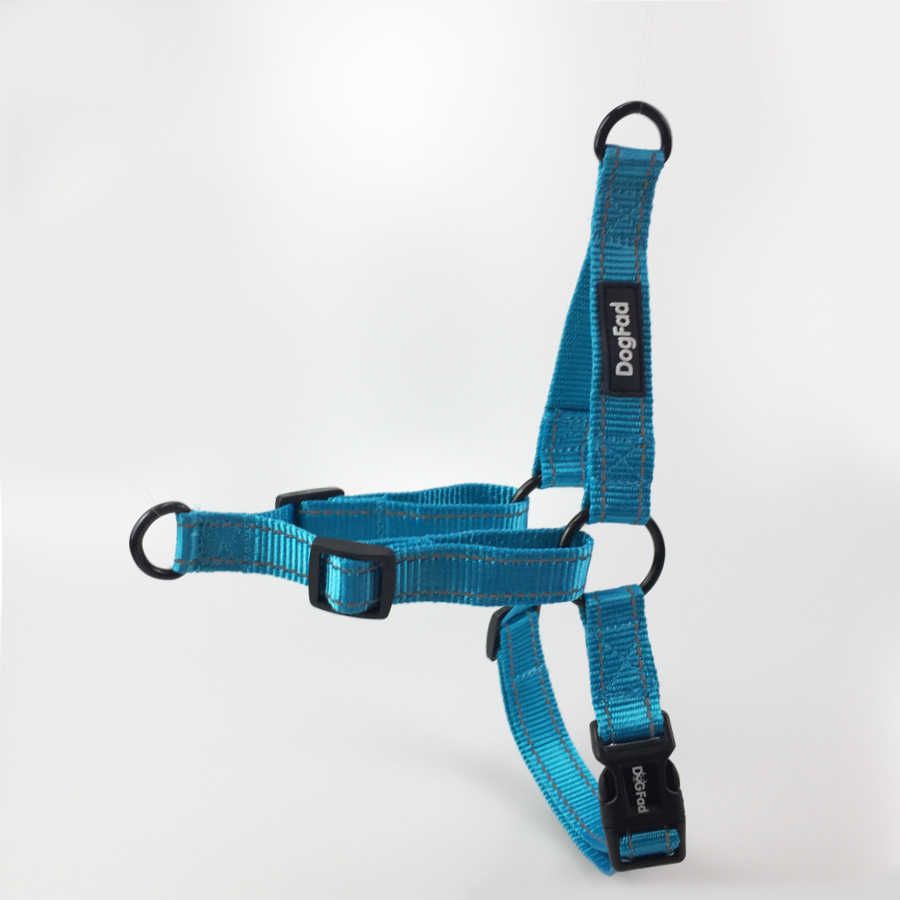 Blue Harness