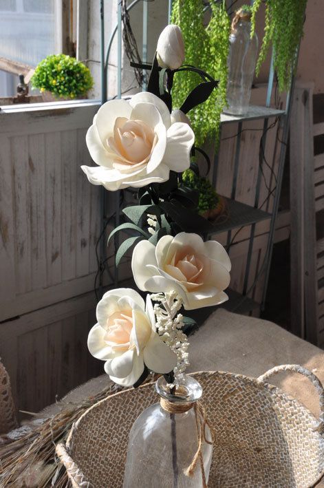 Milk white rose