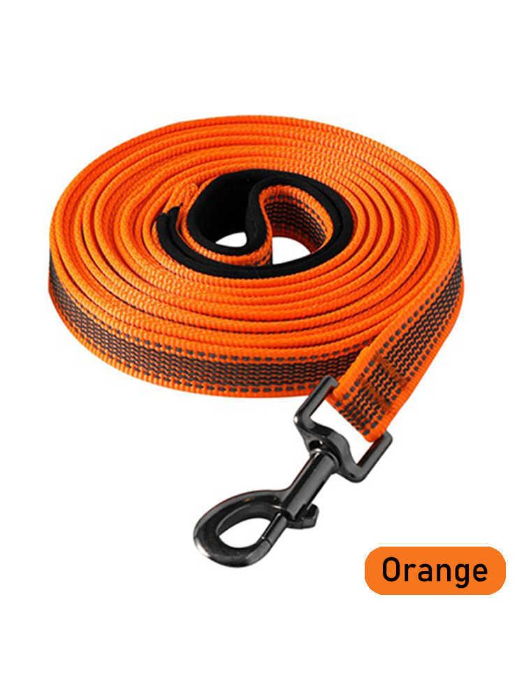 Orange Dog Leash