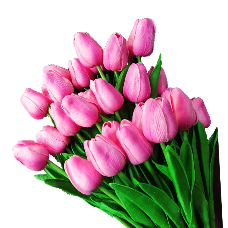 J-różowy Tulip