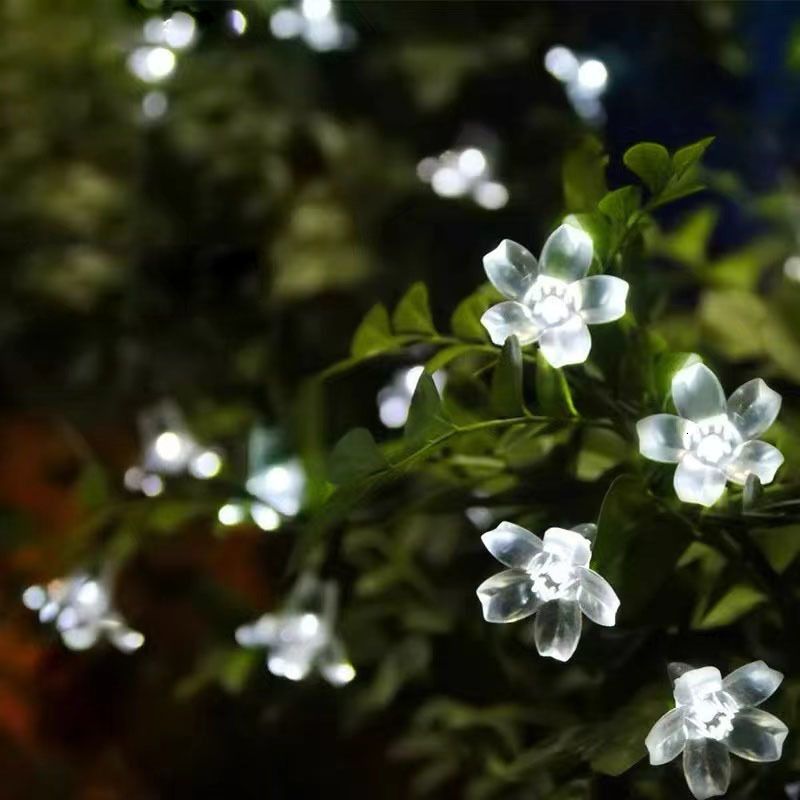 Cherry White-5m 20leds