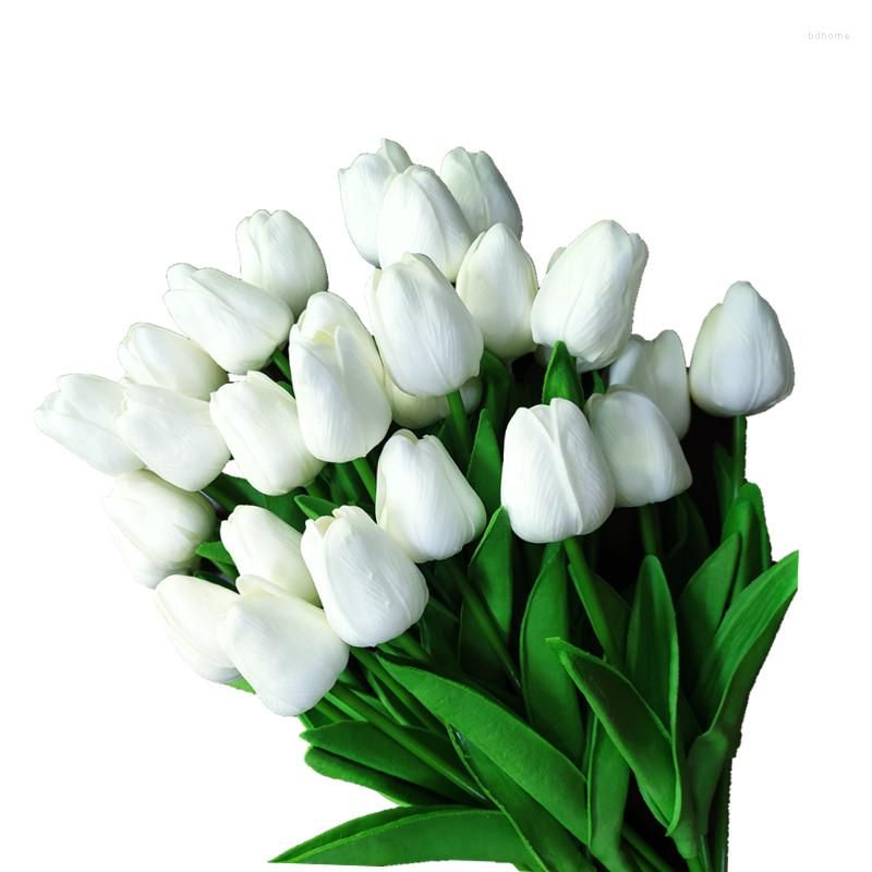 B-biały tulipan