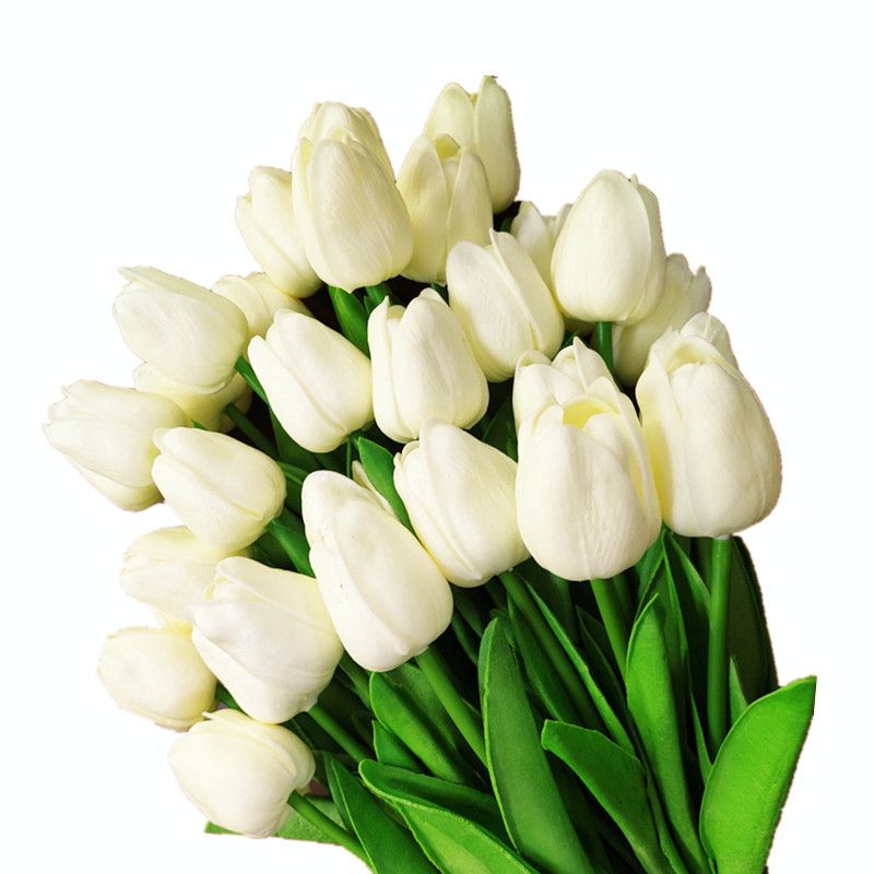 O-Milk White Tulip