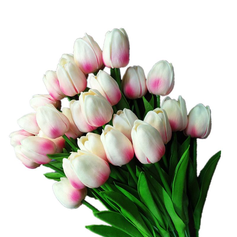 H-Light Pink Tulip