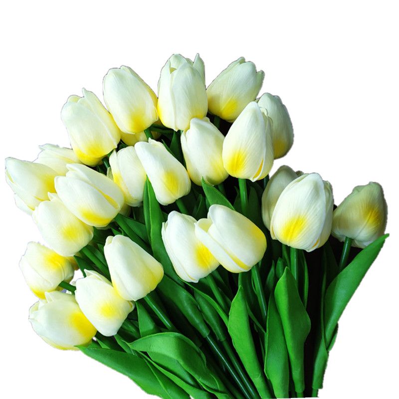 Żółty tulipany światło C