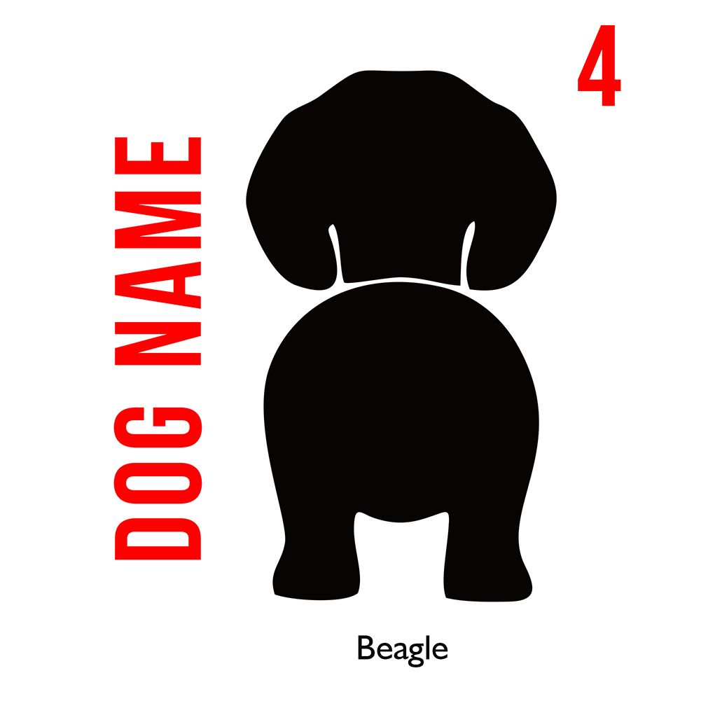 Beagle