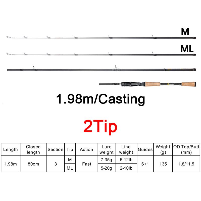 Casting 1.98m 2tips