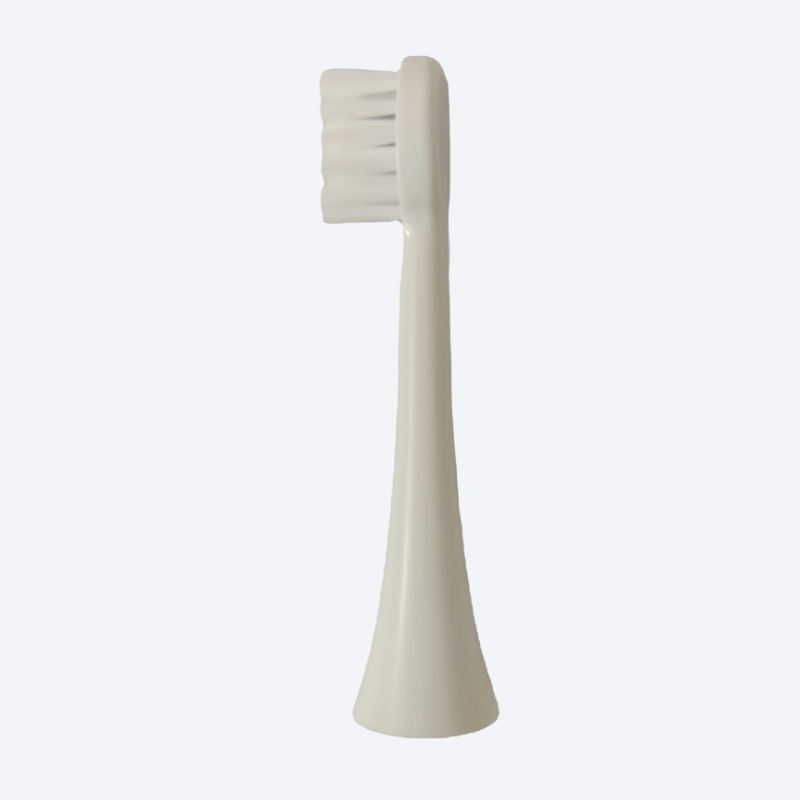 Tête de brosse à dents Wh